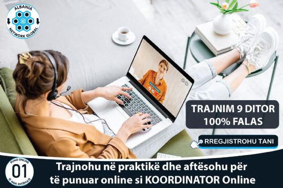 Puno Online Nga Shtepia Nepermjet Platformes Panairi Online SHPK.